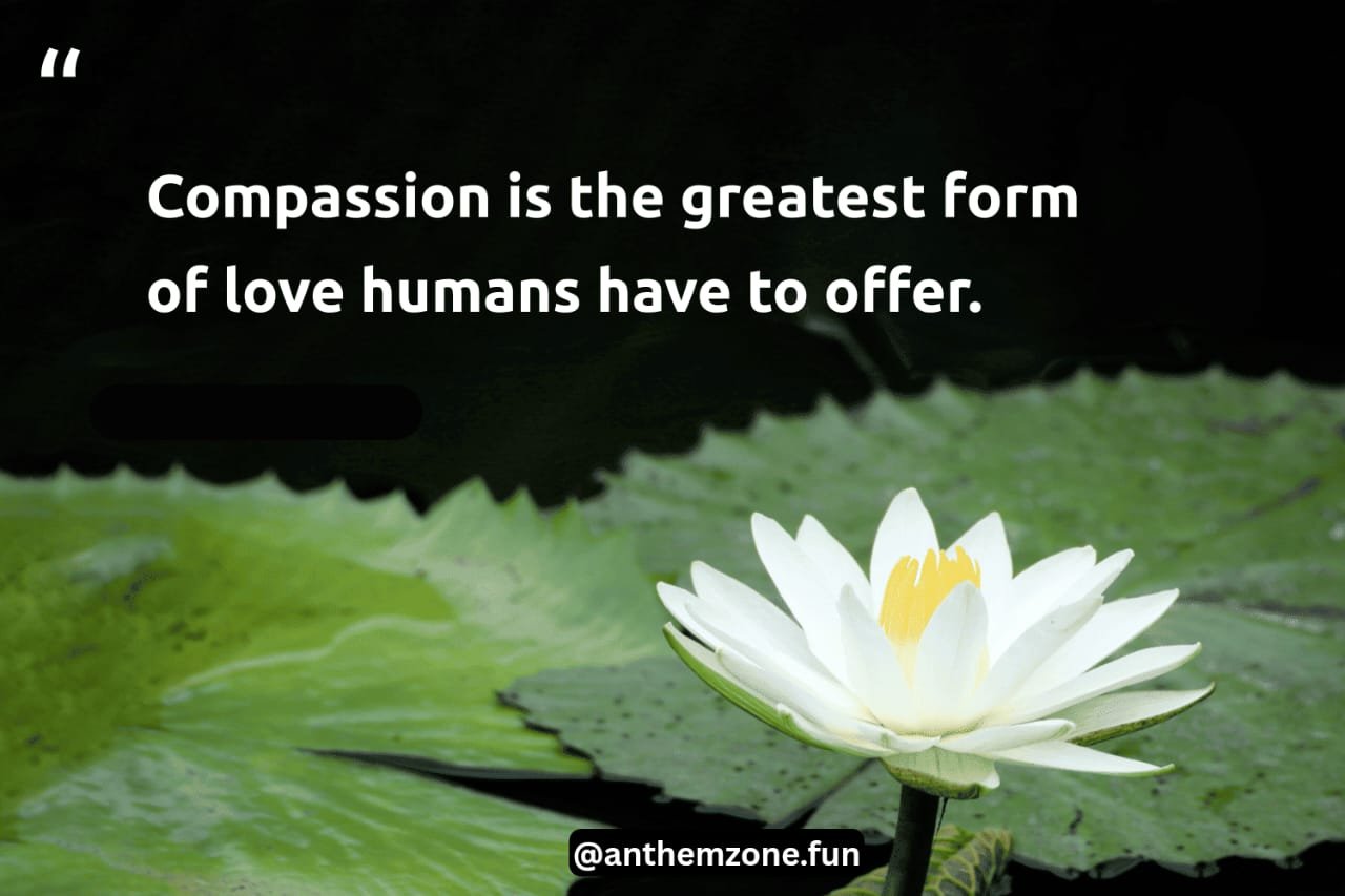 Kindness
Life Forever