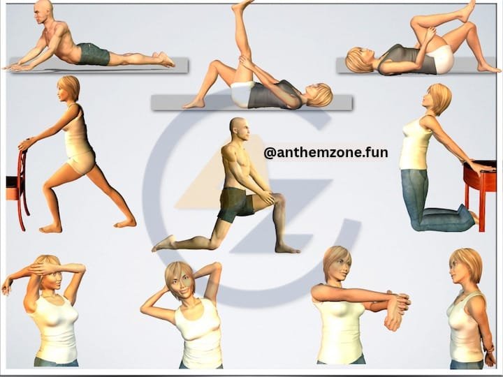 pain relief
Joints and Back Pain